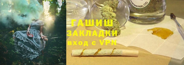 дживик Бородино