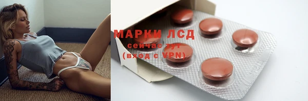 мдпв Богородицк