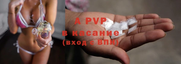 дживик Бородино