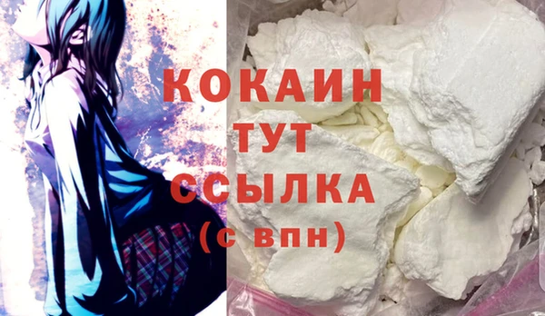 дживик Бородино