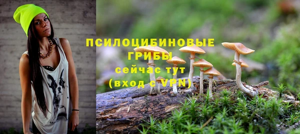 дживик Бородино