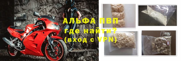 дживик Бородино