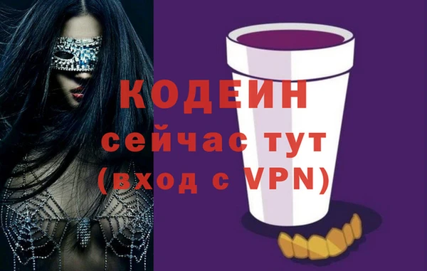 мдпв Богородицк