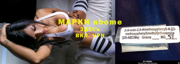 мдпв Богородицк