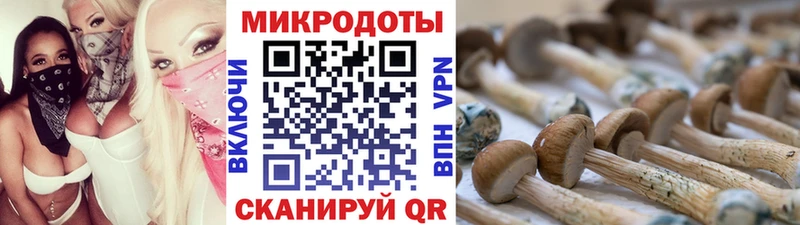 Псилоцибиновые грибы Psilocybine cubensis  где купить наркоту  Кизилюрт 
